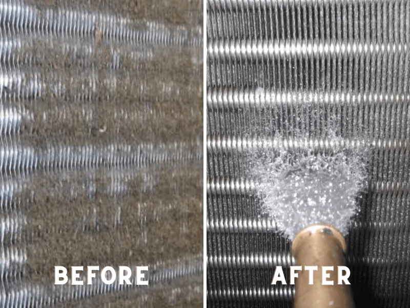 Cooler Cleaning
